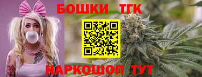 гидра Славгород