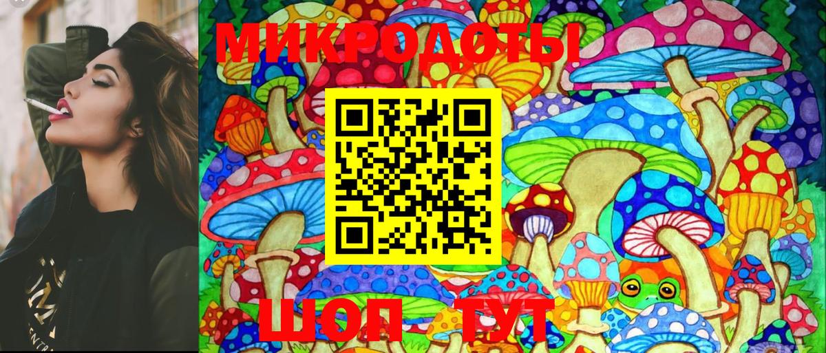 Галлюциногенные грибы Magic Shrooms Саяногорск
