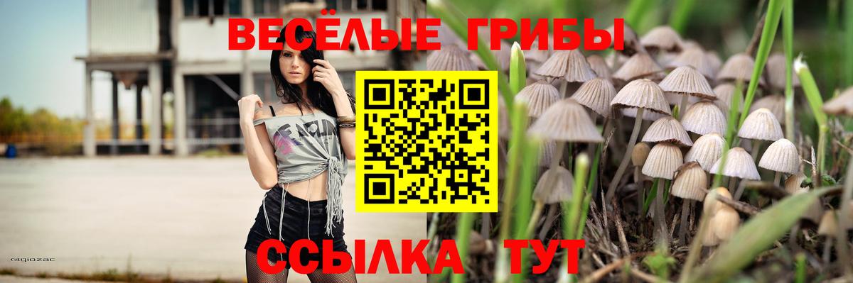 Галлюциногенные грибы Magic Shrooms  наркотики  Саяногорск  Вход с VPN 