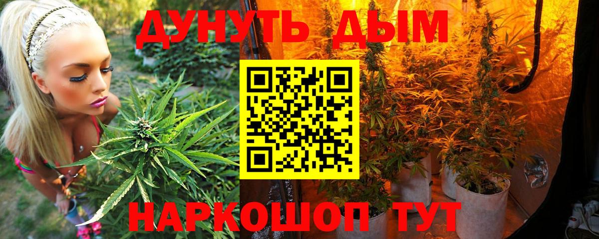 Конопля OG Kush  Конопля Amnesia  Вход с VPN  Саяногорск  МАРИХУАНА гибрид 
